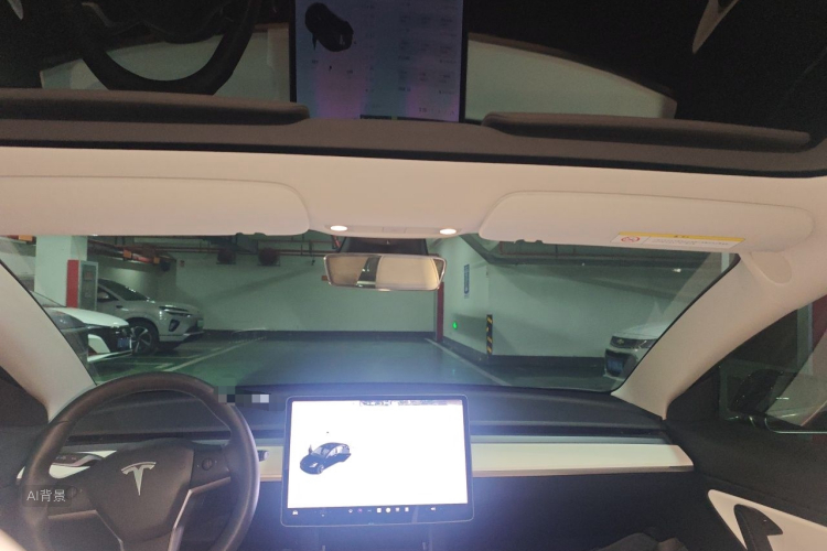 Tesla Model 3 2020 car image #20