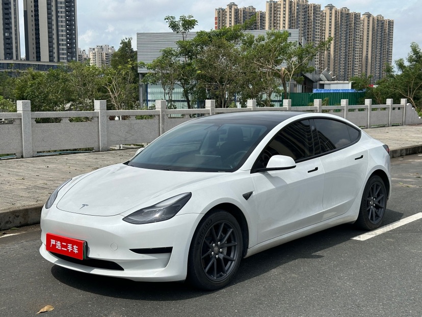 Tesla Model 3 2021 Tesla Model 3 2021 car image