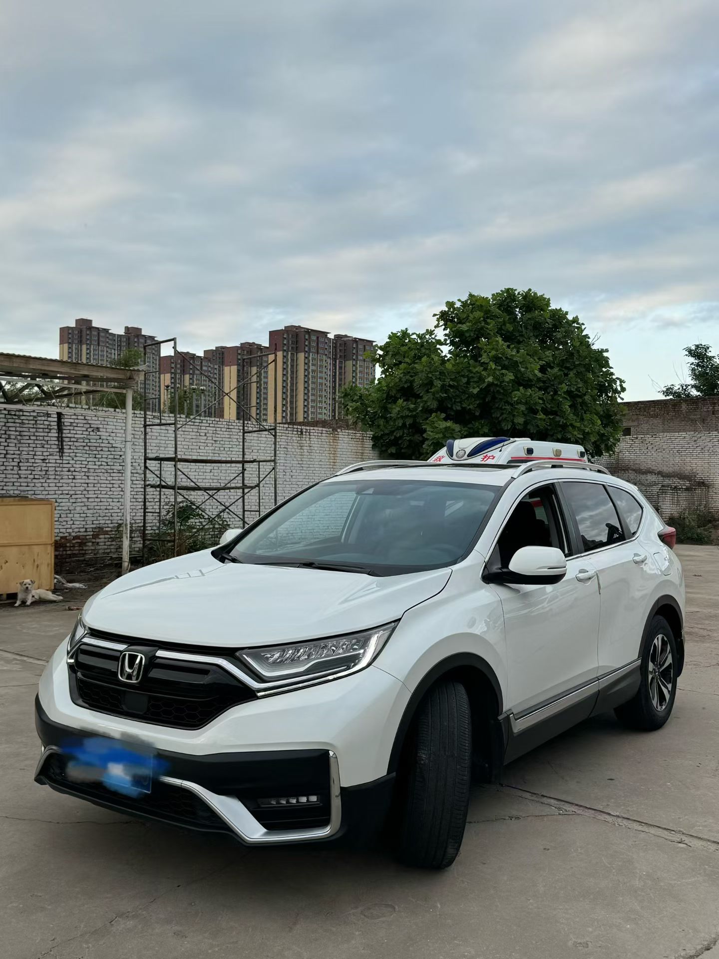 Honda CR-V 2021 Honda CR-V 2021 car image