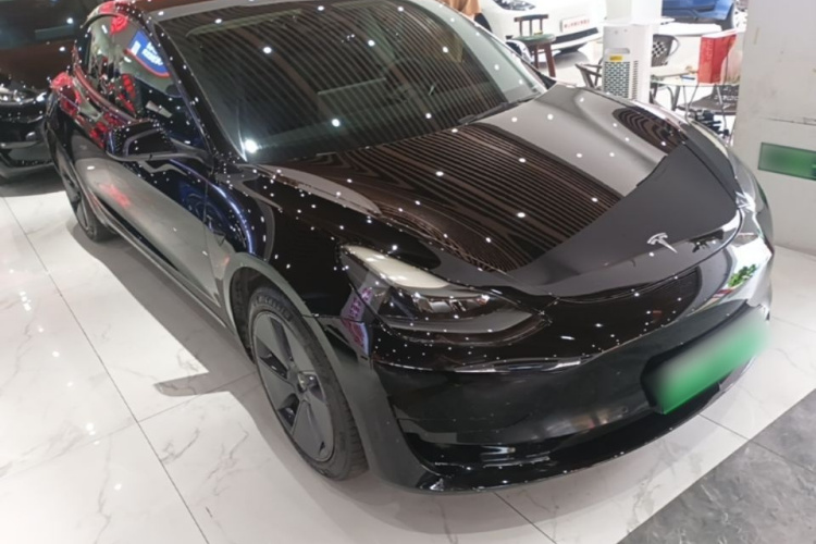 Tesla Model 3 2021 #6 Tesla Model 3 2021 car image #6