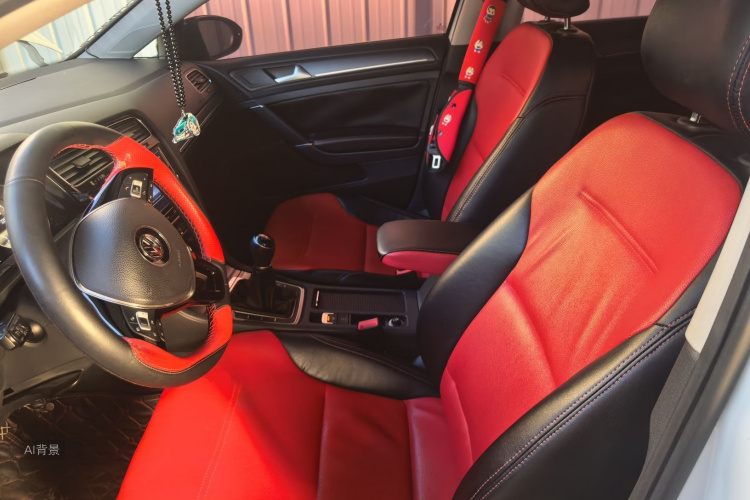 Volkswagen Golf 2017 car image #17