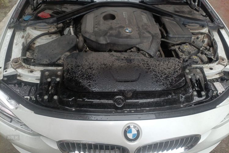 BMW 3 Series 2019 car image #22