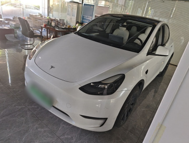 Tesla Model Y 2021 car image 