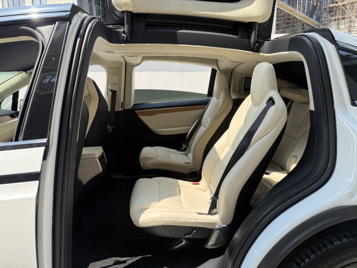 Tesla Model X 2019 #7 Tesla Model X 2019 car image #7