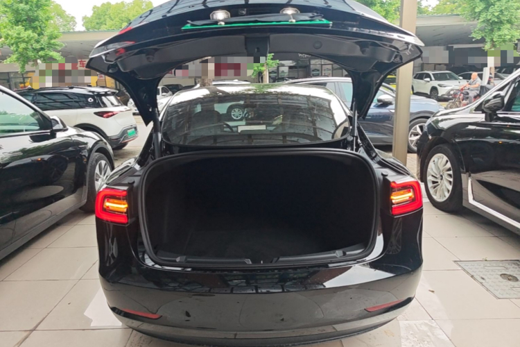 Tesla Model 3 2023 #23 Tesla Model 3 2023 car image #23