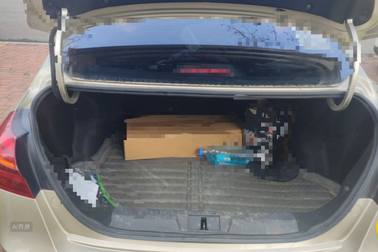 GEELY Emgrand 2018 изображение автомобиля #21