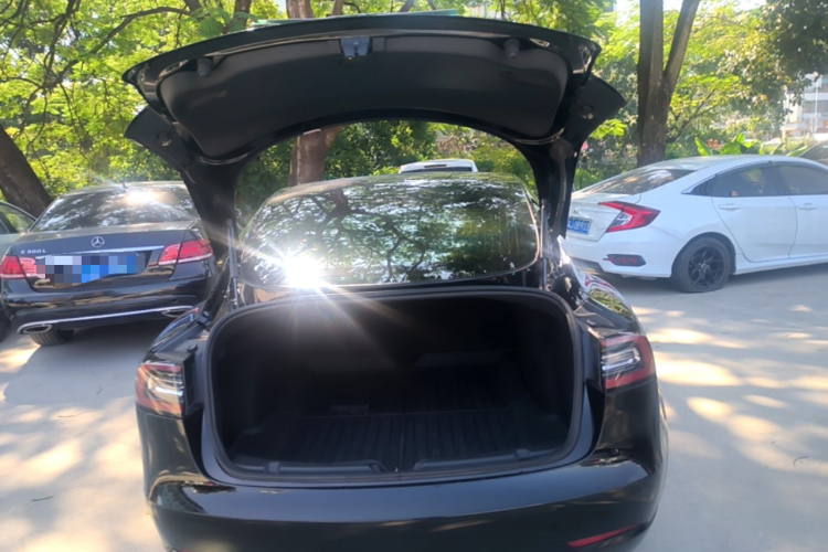 Tesla Model 3 2020 imagem de carro #19