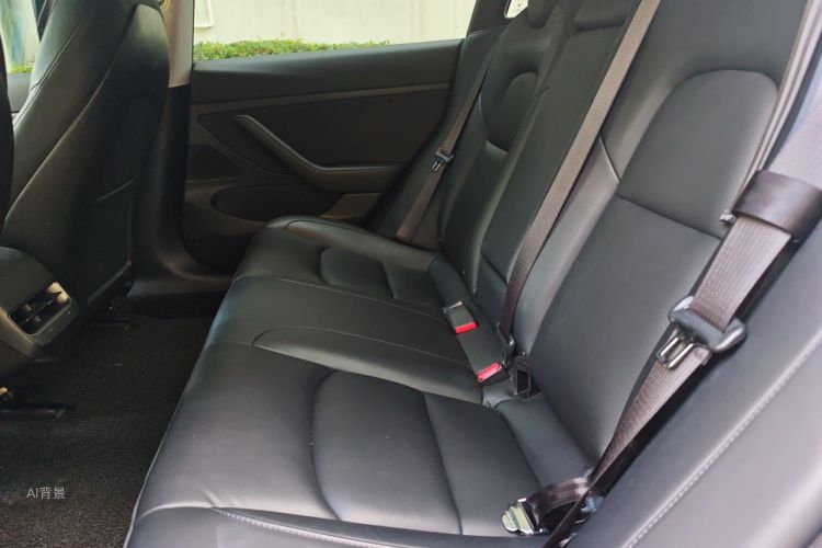 Tesla Model 3 2020 car image #19