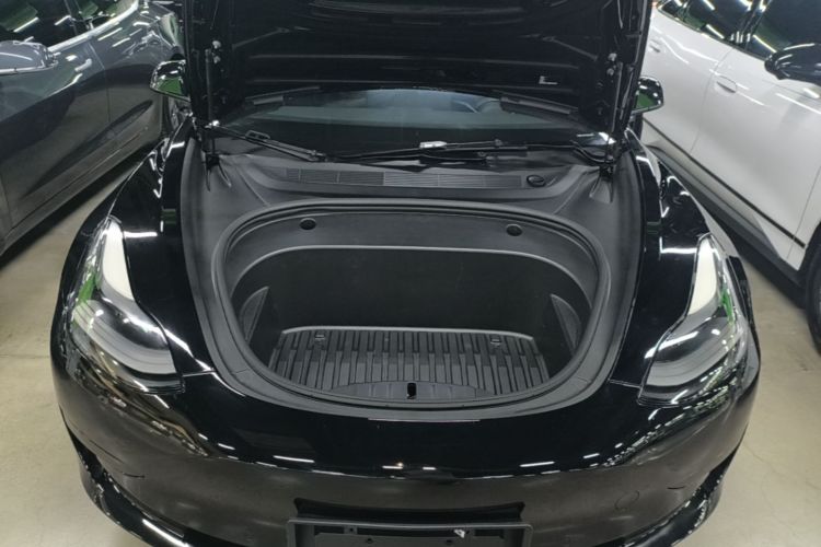 Tesla Model 3 2021 #20 Tesla Model 3 2021 immagine di auto #20