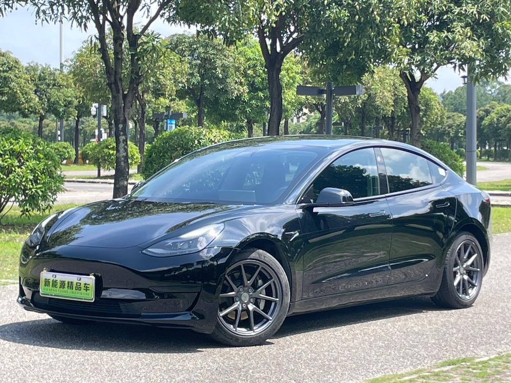 Tesla Model 3 2021 Tesla Model 3 2021 car image