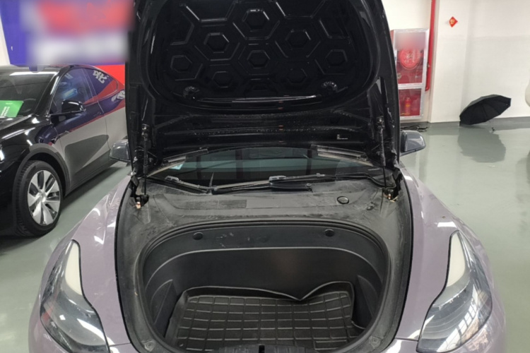 Tesla Model 3 2021 car image #22