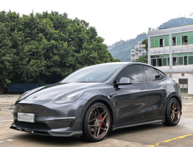 Tesla Model Y 2022 Tesla Model Y 2022 car image