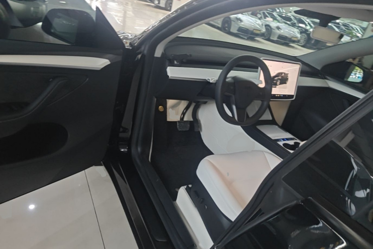 Tesla Model Y 2023 car image #16
