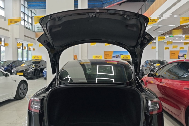 Tesla Model 3 2020 #19 Tesla Model 3 2020 صورة سيارة #19