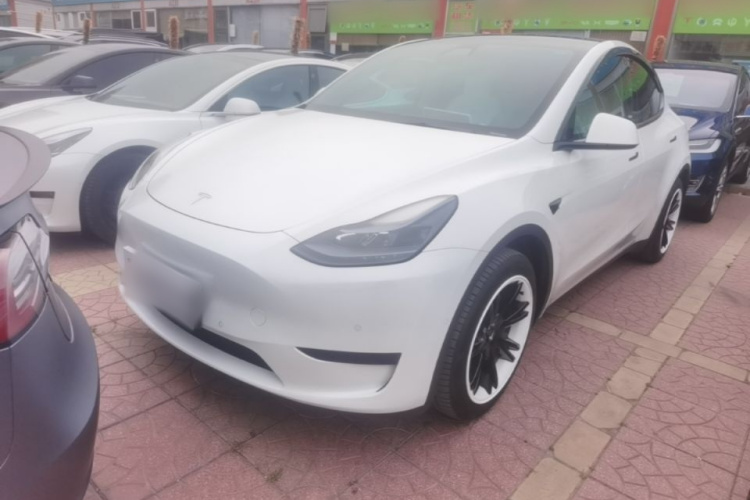 Tesla Model Y 2023 #2 Tesla Model Y 2023 immagine di auto #2