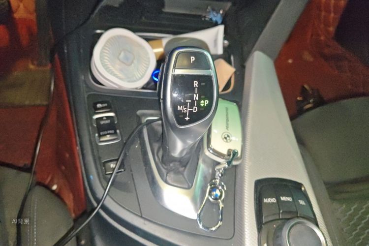 BMW 3 Series 2017 car image #16