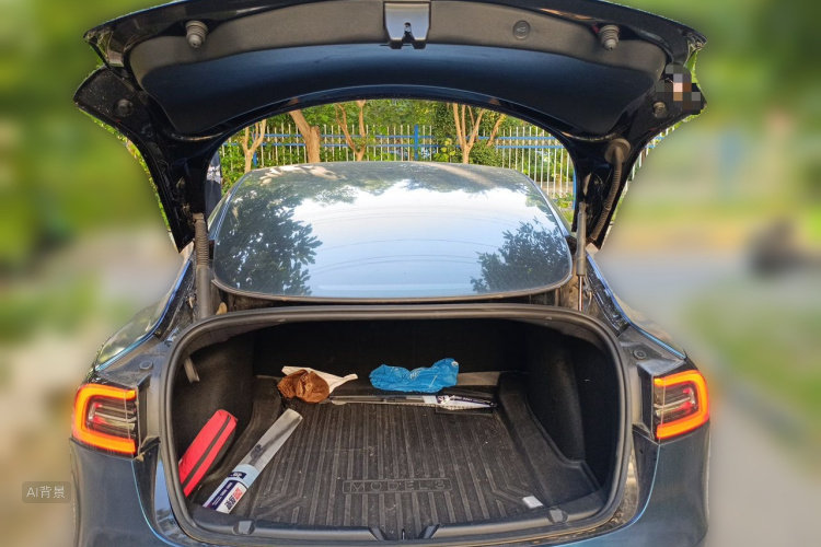 Tesla Model 3 2021 car image #21