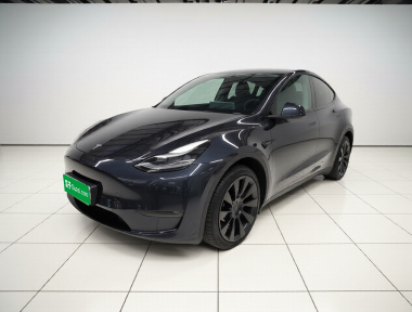 Tesla Model Y 2024 car image 