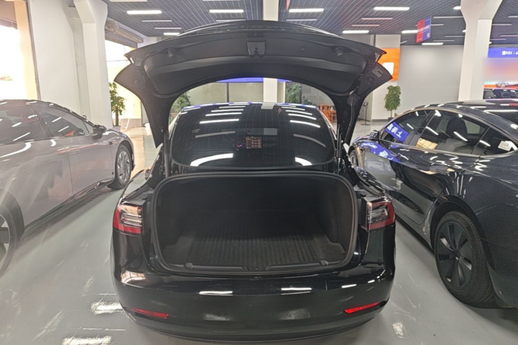 Tesla Model 3 2023 car image #19