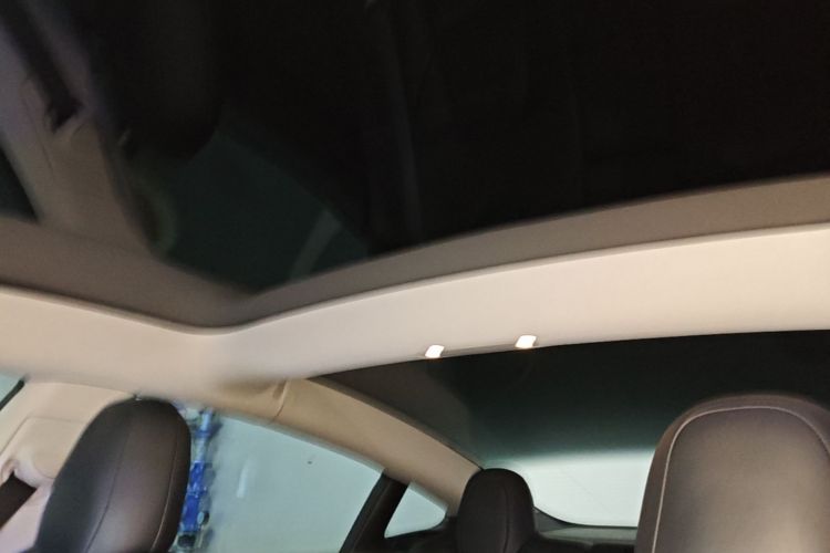 Tesla Model 3 2021 car image #20