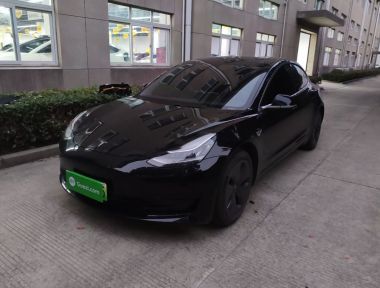 Tesla Model 3 2020 Tesla Model 3 2020 immagine di auto