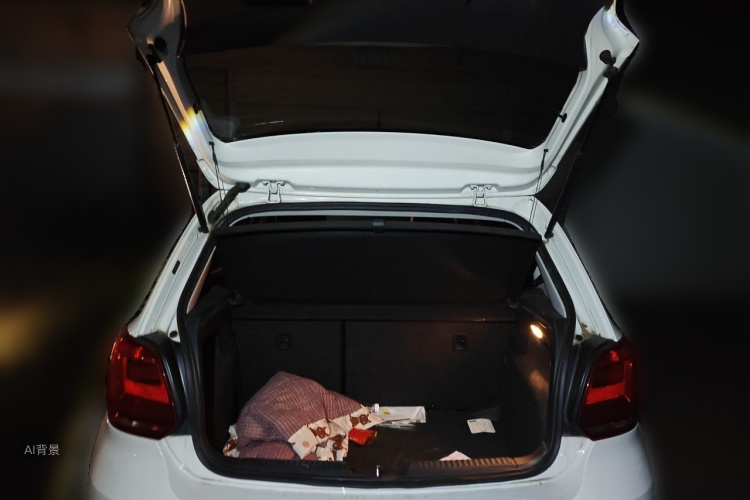 Volkswagen Polo 2018 #21 Volkswagen Polo 2018 car image #21