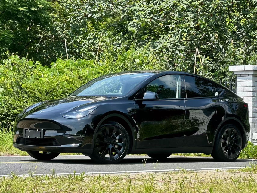 Tesla Model Y 2021 Tesla Model Y 2021 car image