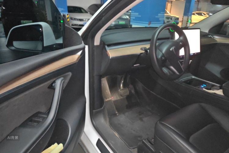 Tesla Model Y 2021 car image #18