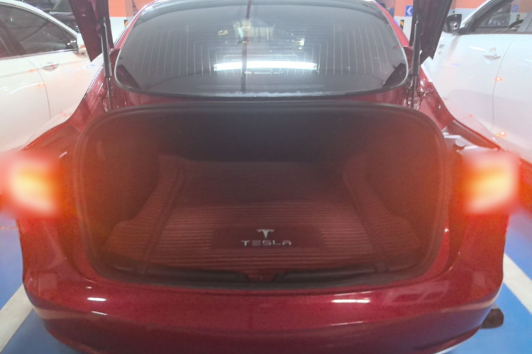 Tesla Model 3 2020 car image #19