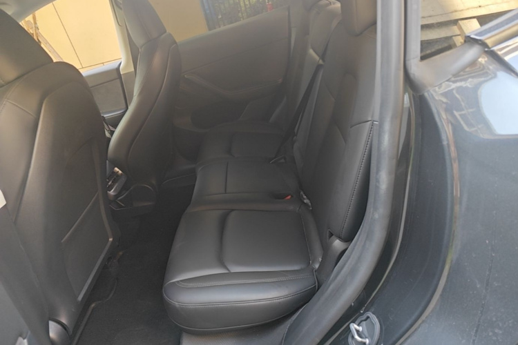 Tesla Model Y 2024 car image #17
