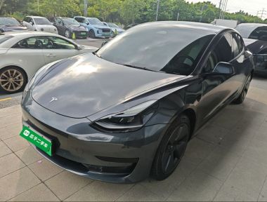 Tesla Model 3 2022 car image 
