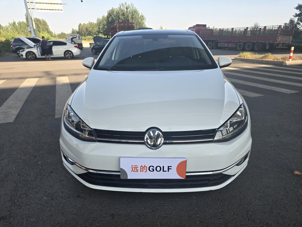 Volkswagen Golf 2019 imagem de carro #2