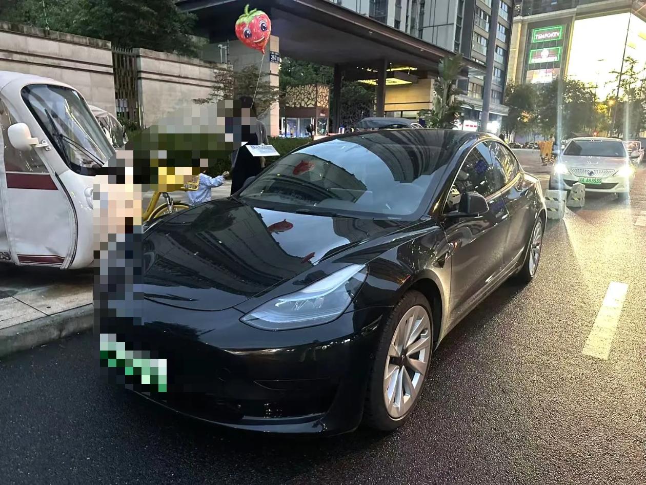 Tesla Model 3 2022 Tesla Model 3 2022 car image