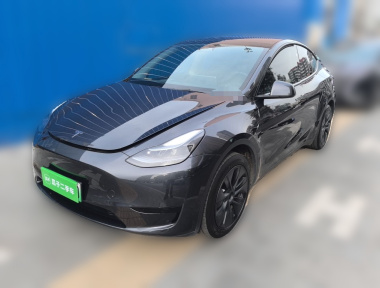 Tesla Model Y 2024 Tesla Model Y 2024 car image