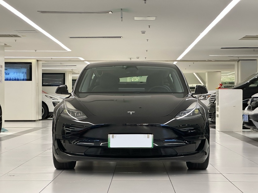 Tesla Model 3 2021 #2 Tesla Model 3 2021 car image #2