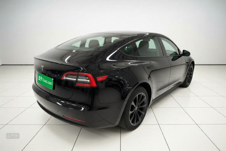 Tesla Model 3 2021 car image #7