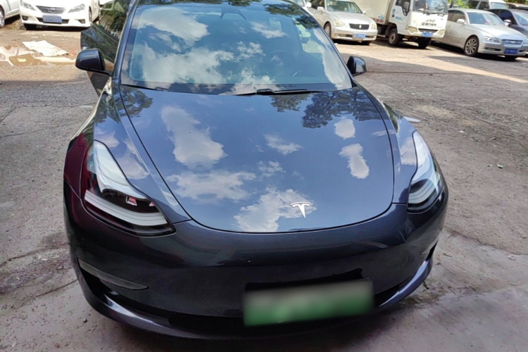 Tesla Model 3 2021 car image #3