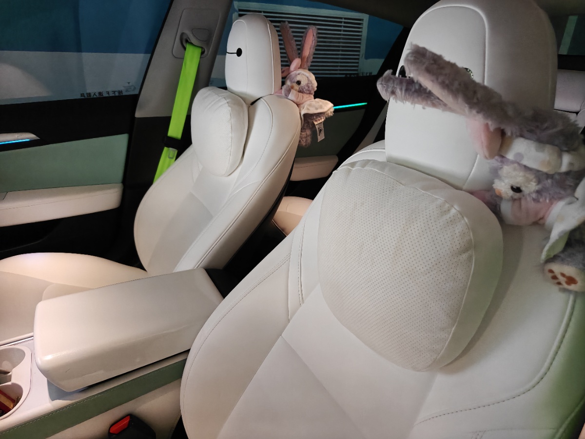 Tesla Model 3 2021 car image #6