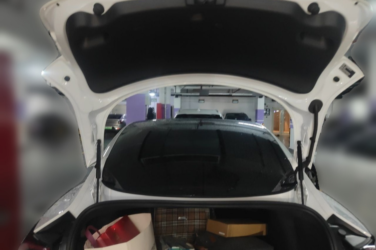 Tesla Model 3 2020 #17 Tesla Model 3 2020 car image #17