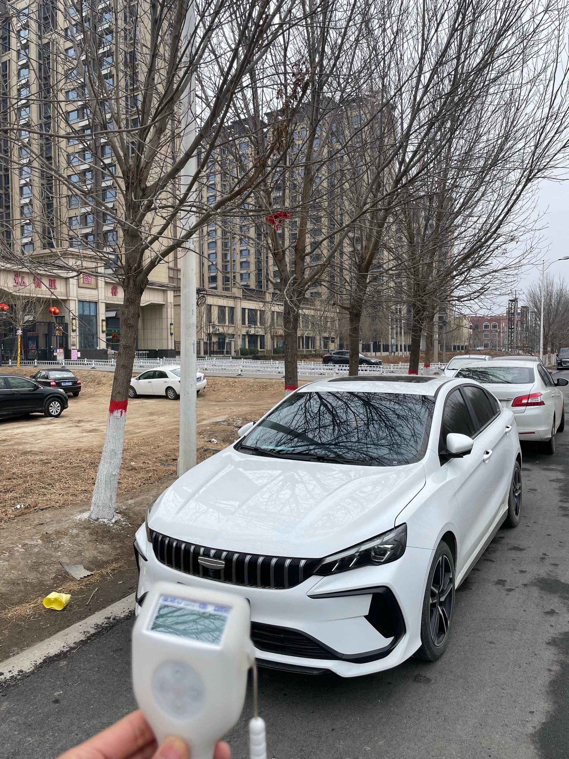 GEELY Binray 2024 汽车图片 