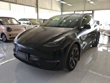 Tesla Model Y 2021 Tesla Model Y 2021 car image