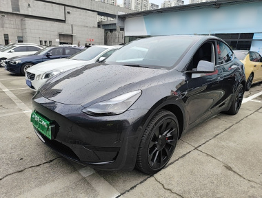 Tesla Model Y 2024 car image 