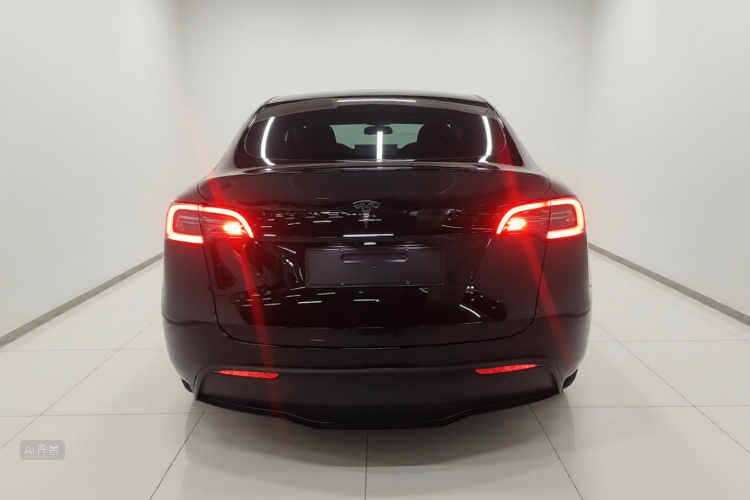 Tesla Model Y 2022 car image #6