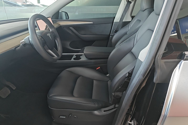 Tesla Model Y 2022 car image #15