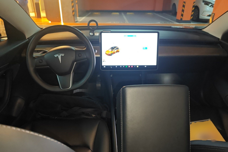 Tesla Model 3 2020 #7 Tesla Model 3 2020 car image #7