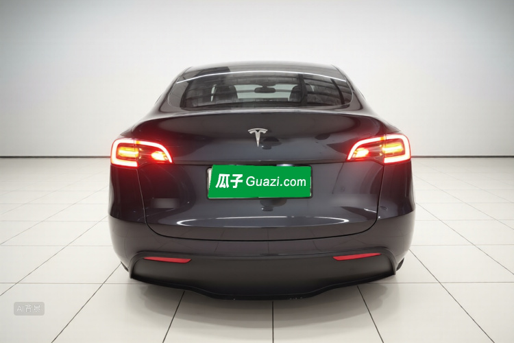 Tesla Model Y 2024 car image #6