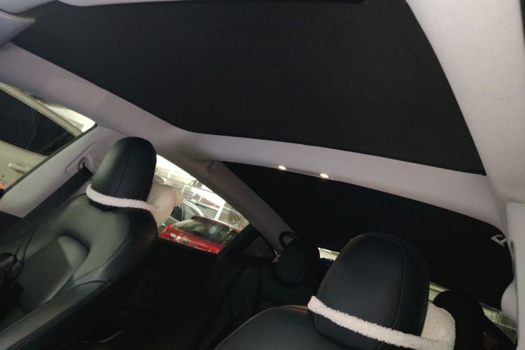 Tesla Model 3 2020 #20 Tesla Model 3 2020 car image #20