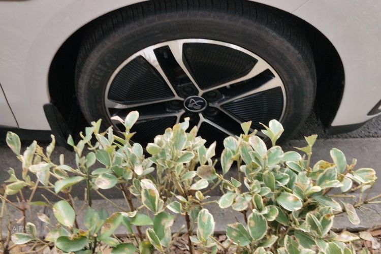 BYD Han 2023 #9 BYD Han 2023 immagine di auto #9