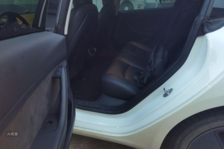 Tesla Model 3 2021 #19 Tesla Model 3 2021 car image #19