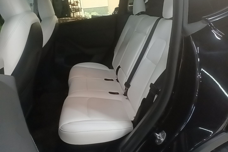 Tesla Model Y 2023 car image #17